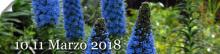 Eventi - Primavera in giardino 2018 - Milis - Oristano