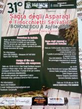 Eventi - Sagra degli asparagi e finocchietti selvatici - Boroneddu - Oristano