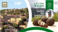 Eventi -- Sagra del tartufo di Sardegna 2017 - Laconi - Oristano
