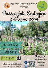 Eventi - Passeggiata Ecologica 2016 - Milis - Oristano